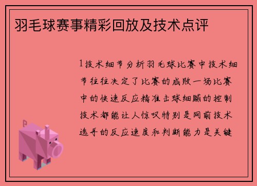 羽毛球赛事精彩回放及技术点评